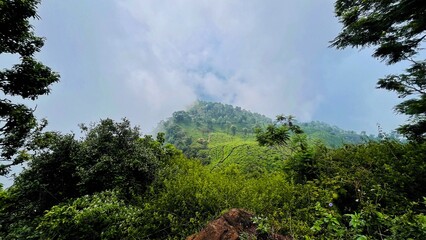 Obraz premium fog in the mountains of Coonoor Dolphin Nose Viewpoint