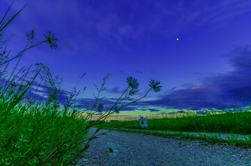 Blaue Stunde übern Feldweg