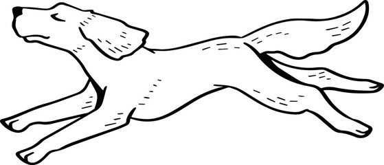 Fototapeta premium cute cartoon dog drawing.