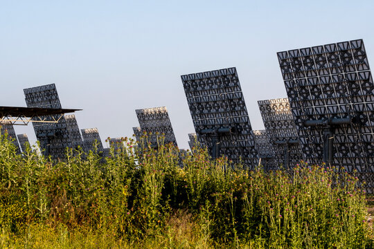 Solar energy panels emerging from wild grass, highlighting the blend of technology with natural habitats