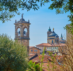 Obraz premium Old bell towers through the olive trees, Bergamo, Italy