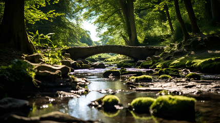  Stone bridge crossing stream in forest.