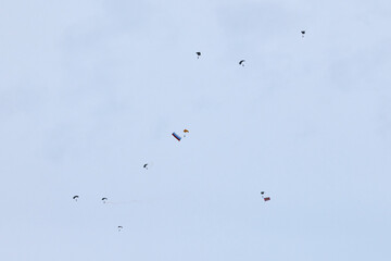 Airborne forces paratroopers soaring holding Flag of Russia and flags of military units, military exercise for celebration of Airborne Forces Day with formation landing, army airborne division descend
