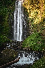 Fototapeta premium a waterfall in the rainforest with green vegetation around it and rocks on either side of