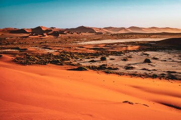 Naklejka premium Scenic view of a dry desert landscape in Africa, featuring sand dunes