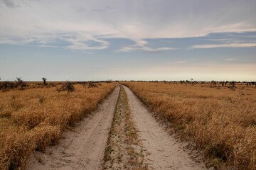 Scenic landscape featuring a road with dry, golden grass