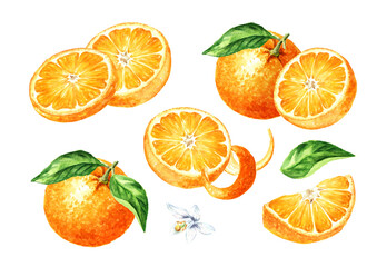 Fresh Orange fruit set, with zest and green leaves. Hand drawn watercolor illustration isolated on white background