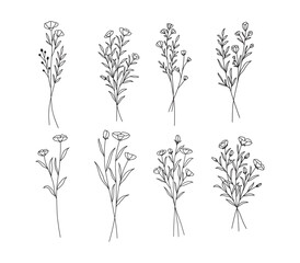 Wildflower line art set. Hand drawn flowers, wild plants, botanical elements for design projects. Vector illustration