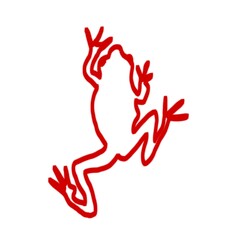 Obraz premium Doodle of Frog. Kids drawing.