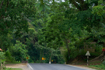 Road to Kaziranga