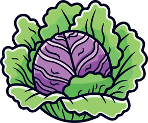 Vector illustration of a beautiful and delicious red cabbage, bold outline, dark and bright colors