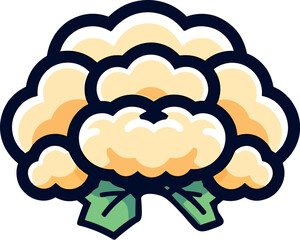 Vector illustration of a beautiful and delicious cauliflower, bold outline, dark and bright colors