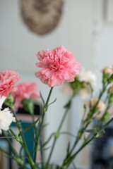 Bouquet of pink and white carnations in a vase