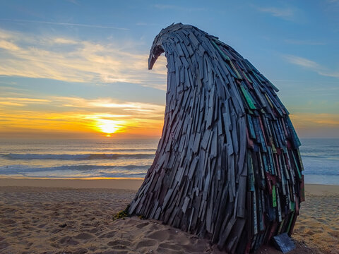 Wave of pieces of wood framing the sunset on the horizon reflected in the sea at F&iacute;sica beach, Santa Cruz - Torres Vedras PORTUGAL