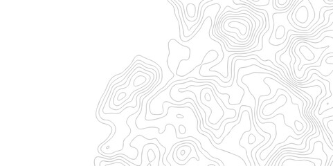 Vector geographic contour map. Topography map background. Black and white wave Seamless line. Topography relief. White wave paper curved reliefs abstract. Topographic map patterns,topography line map. © armans