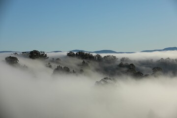trees and mountains in the distance with clouds covering them for covering
