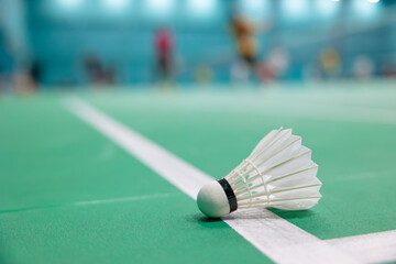 Badminton shuttlecock landed unsighted judge on floor edge court line decision incorrection in or...