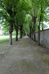 Allée arborée du cimetière de Picpus à Paris