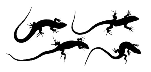 The set of silhouettes of big lizards.
