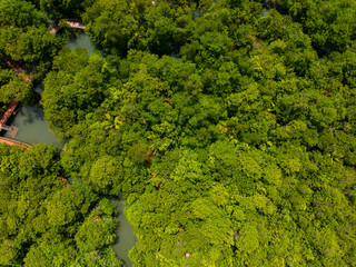 Naklejka premium Aerial view Drone camera rainforest trees ecology with healthy environment concept and summer background