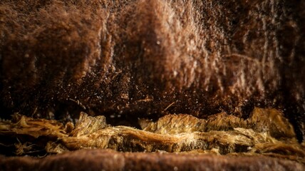 Macrophotography of a coffee bean