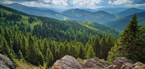 A high mountain view looking over a forest of pine trees in the peak of summer, the greens deep and...