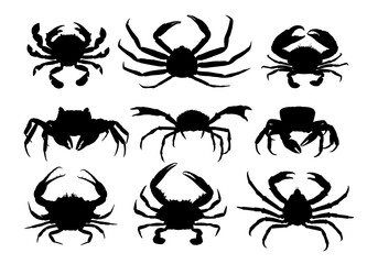 The set silhouettes of sea crabs.
