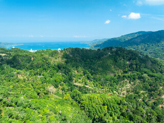 Obraz premium Aerial view Drone camera top view rainforest trees ecology with healthy environment concept and summer background,Green environment background