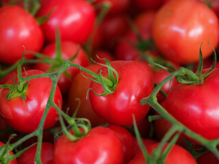 healthy tomatoes at the market
