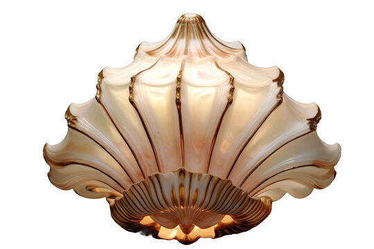 Luminescent Shell: A Unique Ceiling Fixture on a White or Clear Surface PNG Transparent Background.