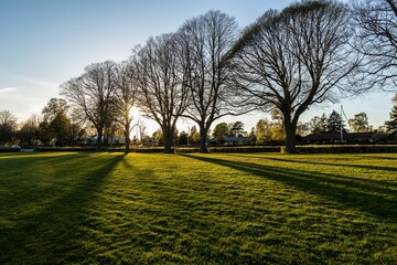 Stunning sunset scene over a park in Denmark with lush green grass and trees on either side