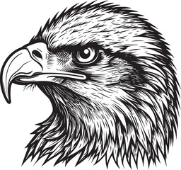Eagle Logo Vector Design, Mascot Vector Illustration