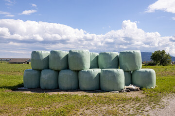 hay wrapped in plastic