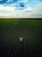 Aerial view of senior farmer standing in corn field with his outstretched arms at sunset.