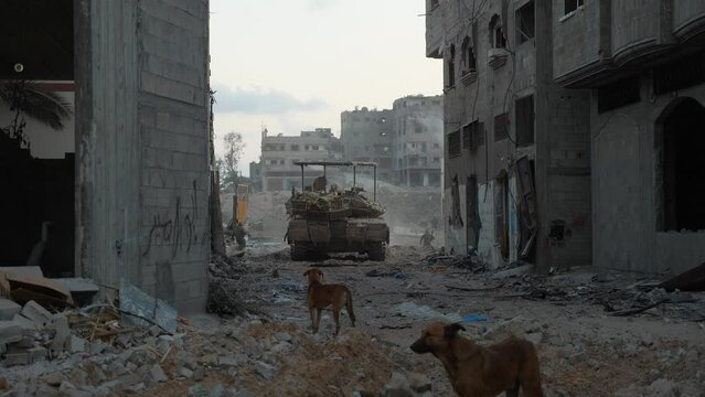 Israel military confrontations with Hamas and other Palestinian militant groups in Gaza Strip during war