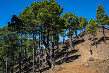 Young woman summit to Bejenado Peak in Caldera de Taburiente, La Palma, Spain