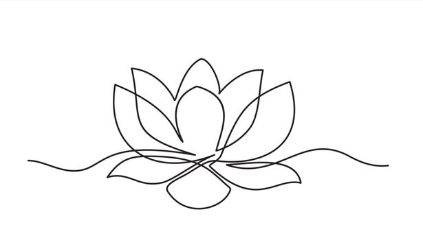 Continuous line drawing of lotus flower. One line drawing background. Vector illustration. Lotus flower continuous line.