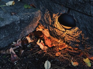 Black and yellow illuminated lamp placed on a rocky surface in a natural outdoor environment