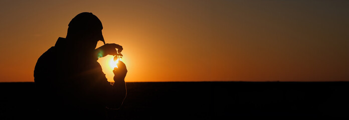A farmer carefully examines a sprout in the rays of the setting sun. Wide shot