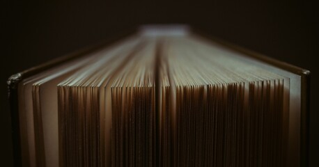 Closeup of a book with a thick, opened spine against a blurred background