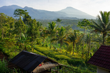 Idyllic rural scene in Lombok, Indonesia, with a traditional hut surrounded by lush green...