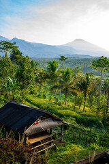 Peaceful countryside view in Lombok, Indonesia, featuring a traditional hut and lush vegetation...