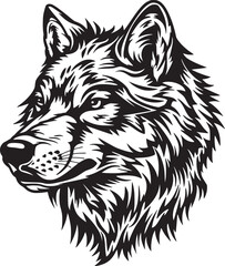 Wolf vector illustration