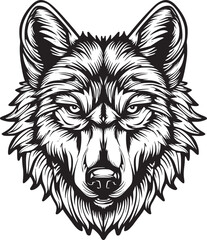 Wolf vector illustration