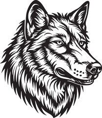 Wolf vector illustration