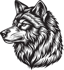 Wolf vector illustration