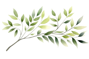 Whispers of Nature on a White or Clear Surface PNG Transparent Background.