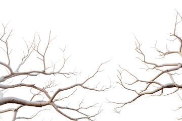 Fototapeta premium The Melodic Muse on a White or Clear Surface PNG Transparent Background.