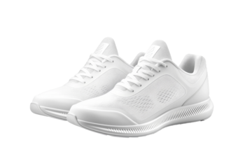 Elegance in White: A Harmonious Duo on a White or Clear Surface PNG Transparent Background.