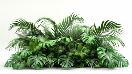 Obraz premium Green palm foliage cut out white background